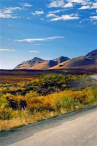 孤月难明料峭梦短篇