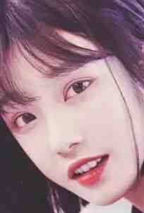 晚风轻拂旧相思后续+完结