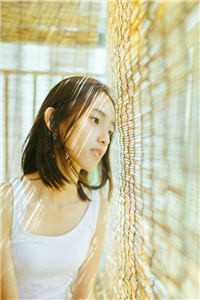 晚星陨落再无夏后续+完结