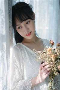 远山远舟无雁回全本