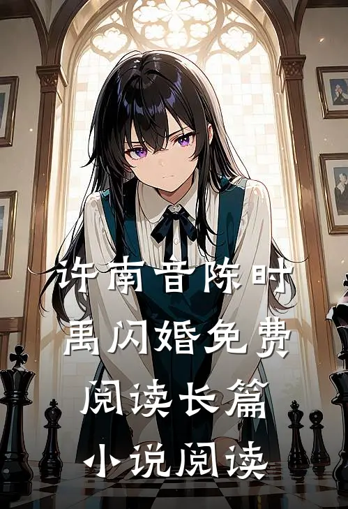 许南音陈时禹闪婚免费阅读长篇小说阅读