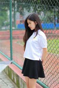 晚星沉海不再归by