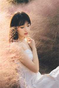 此后春雪不相逢小说全文免费阅读