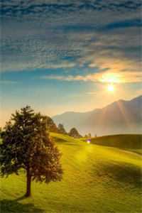 脱离世界后冷情帝王悔疯了结局