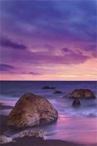 王妃太会撩，腹黑反派爱惨了免费阅读