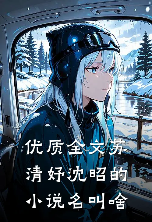 优质全文苏清妤沈昭的小说名叫啥