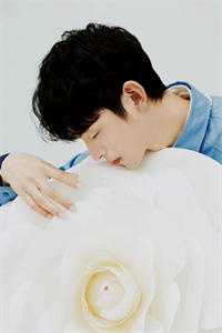 一枕流年赴远山by