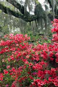 怀孕七个月，我肚子里的孩子不见了最新章节