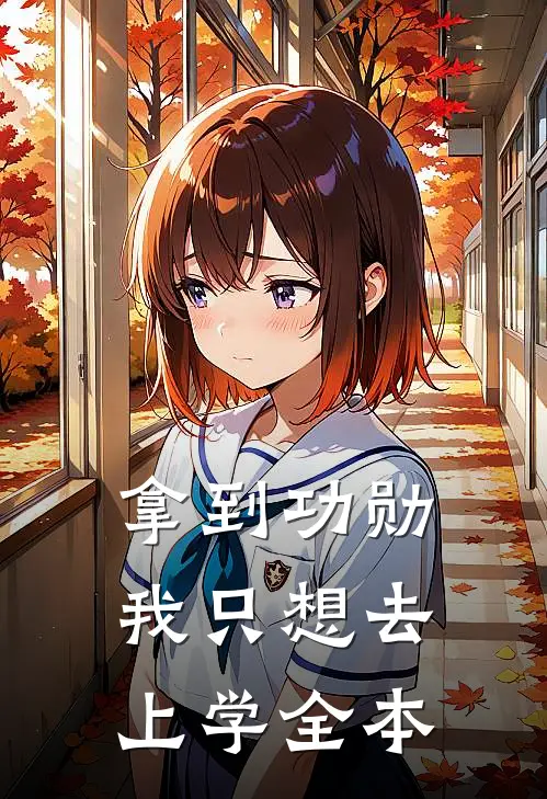 拿到功勋，我只想去上学全本