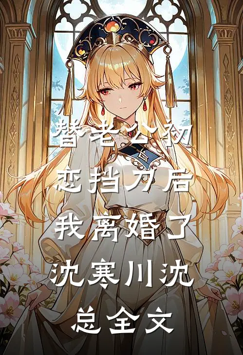 替老公初恋挡刀后，我离婚了沈寒川沈总全文
