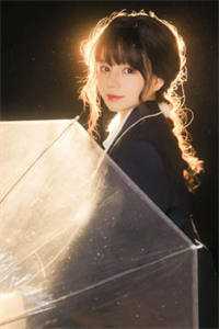 兰因絮果终成雪畅读