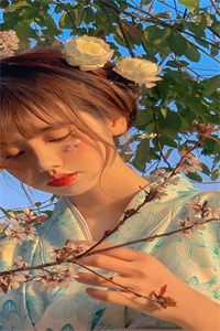 浮生未语几度秋无广告