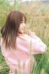 南风未起，念你成疾全章节阅读