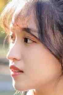 悄悄雪落鬓染霜完结txt