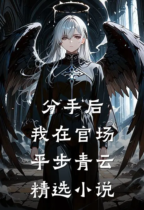 分手后，我在官场平步青云精选小说