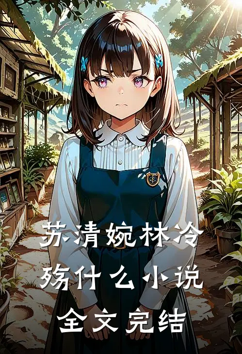 苏清婉林冷殇什么小说全文完结