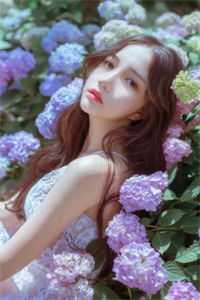 烟花易冷，余温难握完整文集阅读