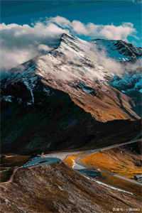 偏我走时冰雪消融完整阅读