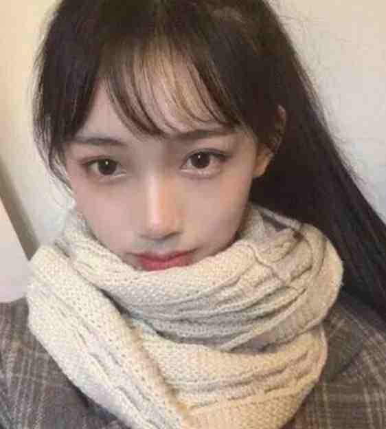 晚星沉海不再归全章节阅读