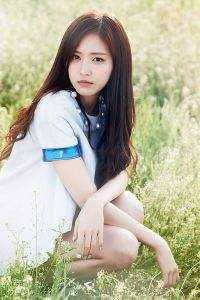 风起时，花落无声小说免费阅读全文