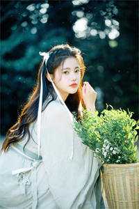 江山残照，落落舒清眺知乎