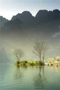 重生后，手撕青梅和姐姐捧在手心的绿箭男后续+完结