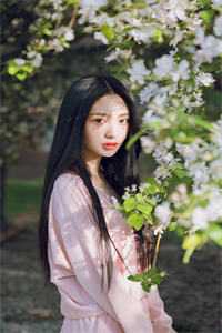 只愿浮生共清欢全文+番外