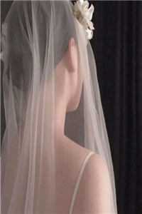 血鲛珠被夺后，我和姐姐魔化杀疯了免费看