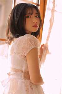 爱意坠星河免费看