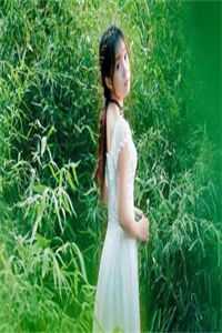 人间自是有情痴无错版