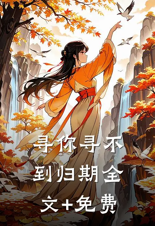 寻你寻不到归期全文+免费