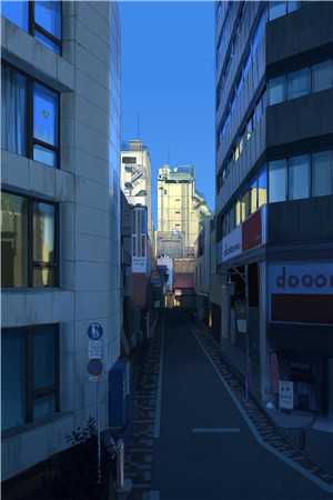 沉溺混沌，他是救赎也是枷锁夏知遥沈御全文+免费