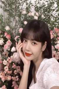 山河皆晚，我悔经年章节