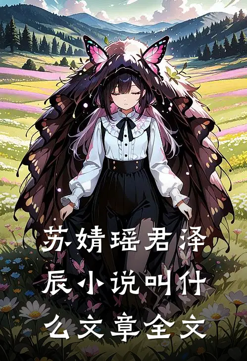 苏婧瑶君泽辰小说叫什么文章全文