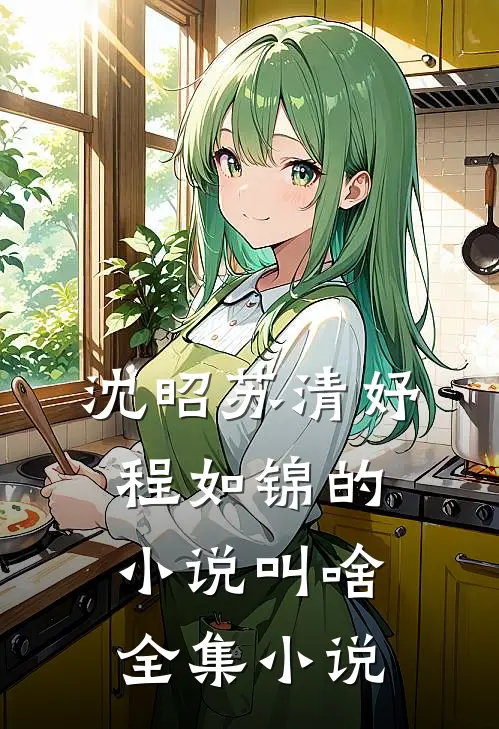 沈昭苏清妤程如锦的小说叫啥全集小说