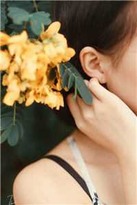 贵妃当众将我虐待流产后，皇帝杀疯了已完结