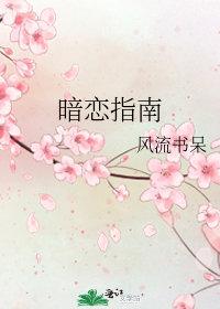 若随风入苍穹免费阅读