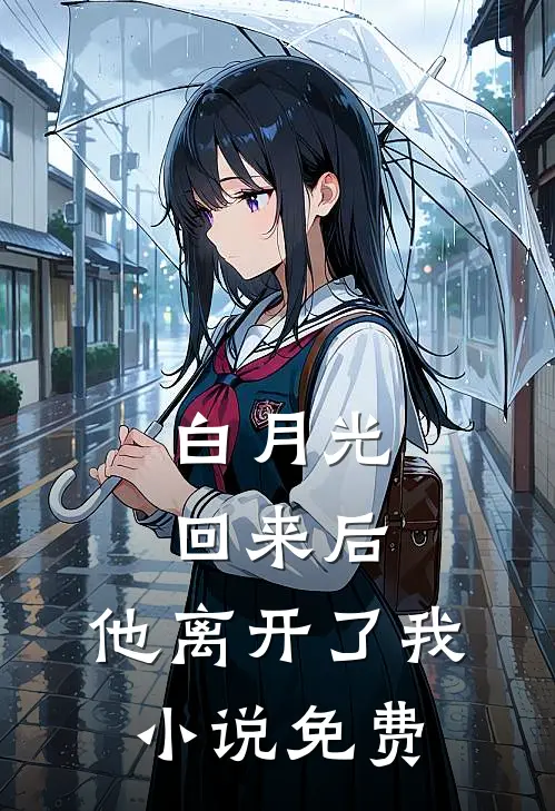 白月光回来后,他离开了我免费观看