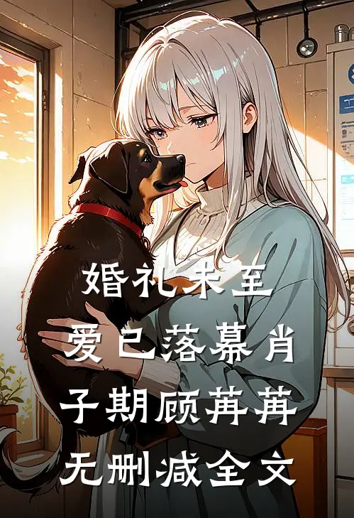 婚礼未至，爱已落幕肖子期顾苒苒无删减全文