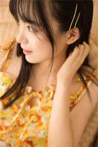 借金枝在线阅读