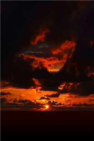 她也曾踏雪而来沈晏舟阮清歌全集