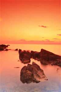 落红不懂春风意全章节