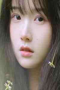 一枕月华解相思后续+完结