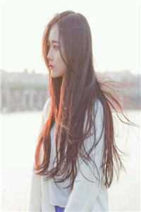 烟火也曾照明月全文+免费