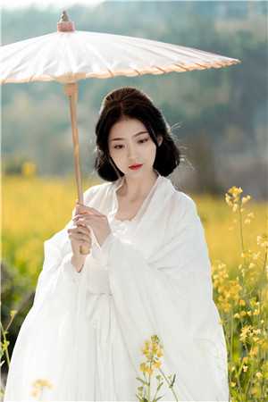 孤月难明料峭梦好看的小说推荐完结