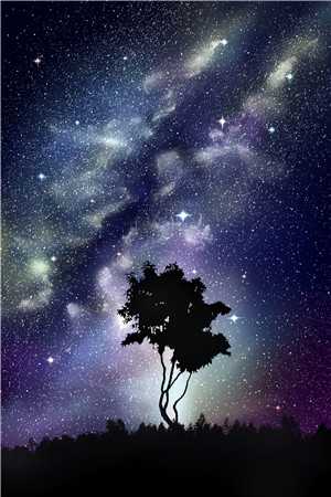 明月相照桑榆已晚全本小说推荐