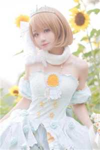 落日不曾回望我后续