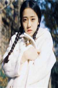 只愿浮生共清欢完结版