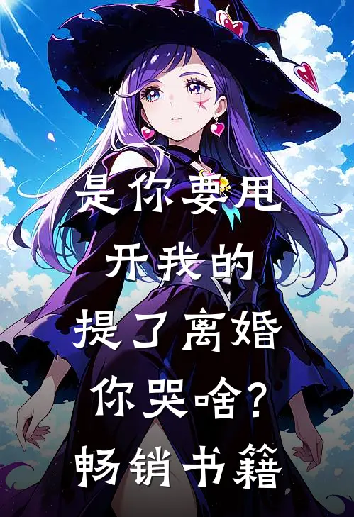 是你要甩开我的,提了离婚你哭啥?畅销书籍