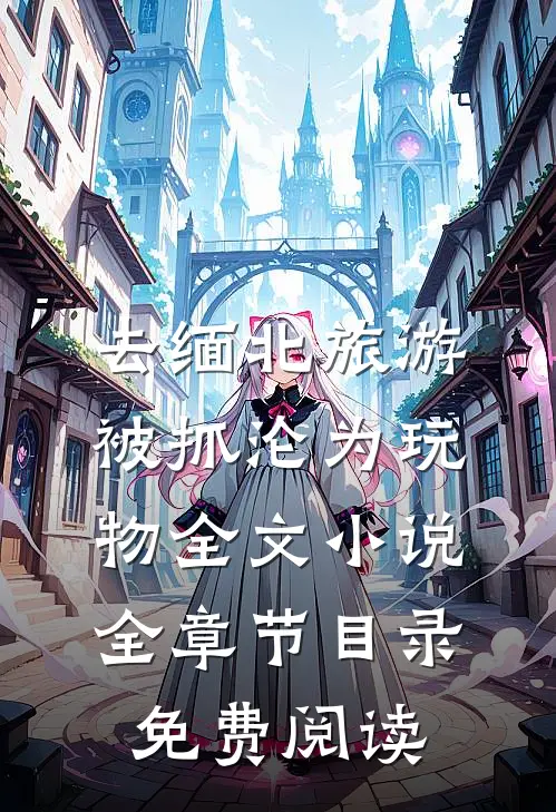 去缅北旅游被抓沦为玩物全文小说全章节目录免费阅读